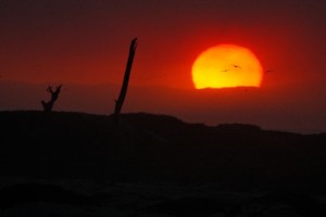 sunset-ventura-beach-small1