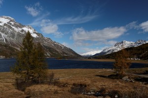 20091014-20091014_engadin-oktober-2009_182_dxo_raw