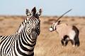 Etosha